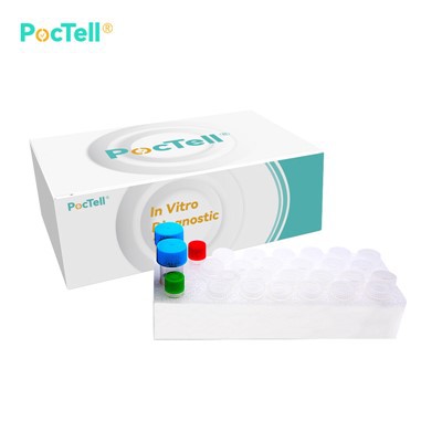 ชุด Borrelia Burgdorferi PCR